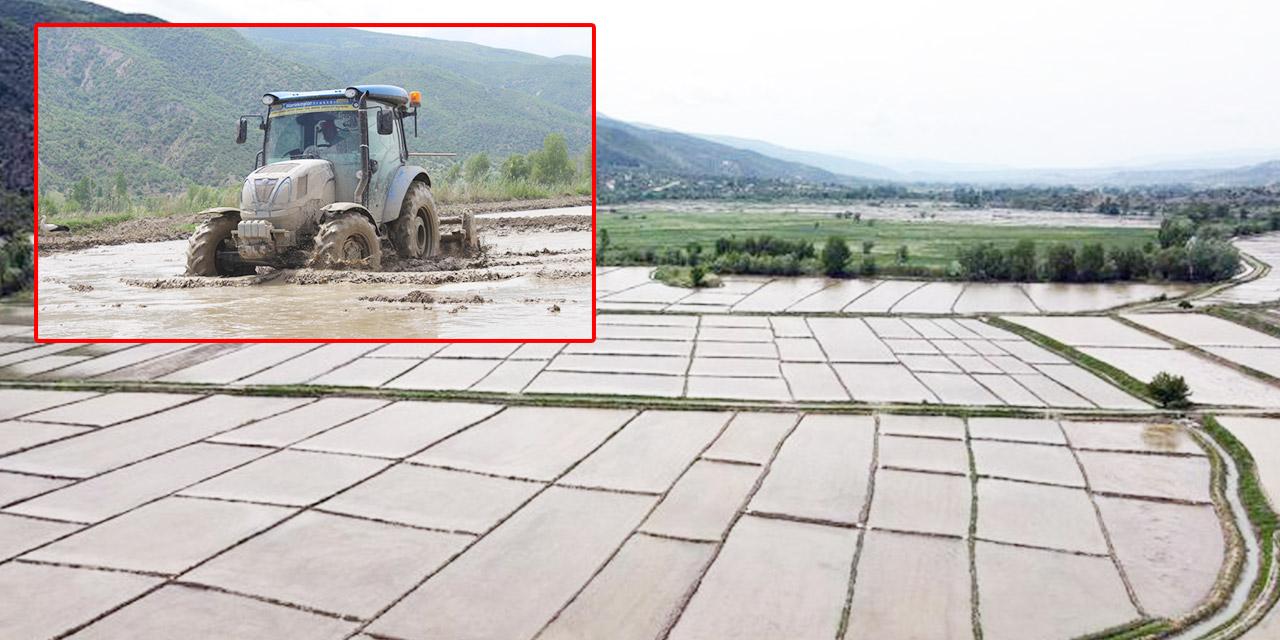 Sulakyurt’ta Çeltik Mesaisi Başladı