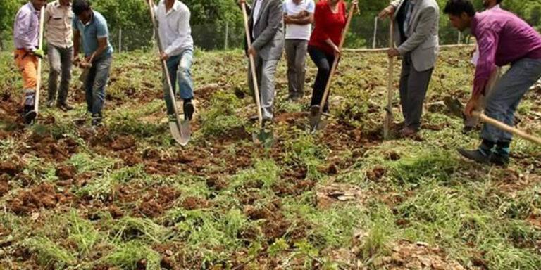 Kırıkkale'de Bağ ve Bahçelerde Belleme Mesaisi