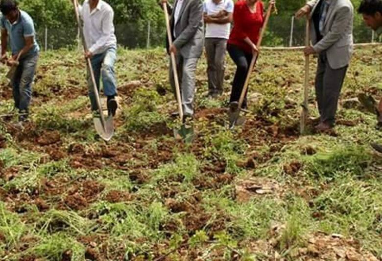 Kırıkkale'de Bağ ve Bahçelerde Belleme Mesaisi