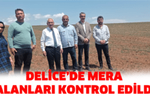 Delice’de Mera Alanları Kontrol Edildi