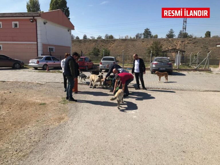 Kırıkkale Haber, Son Dakika Kırıkkale Haberleri