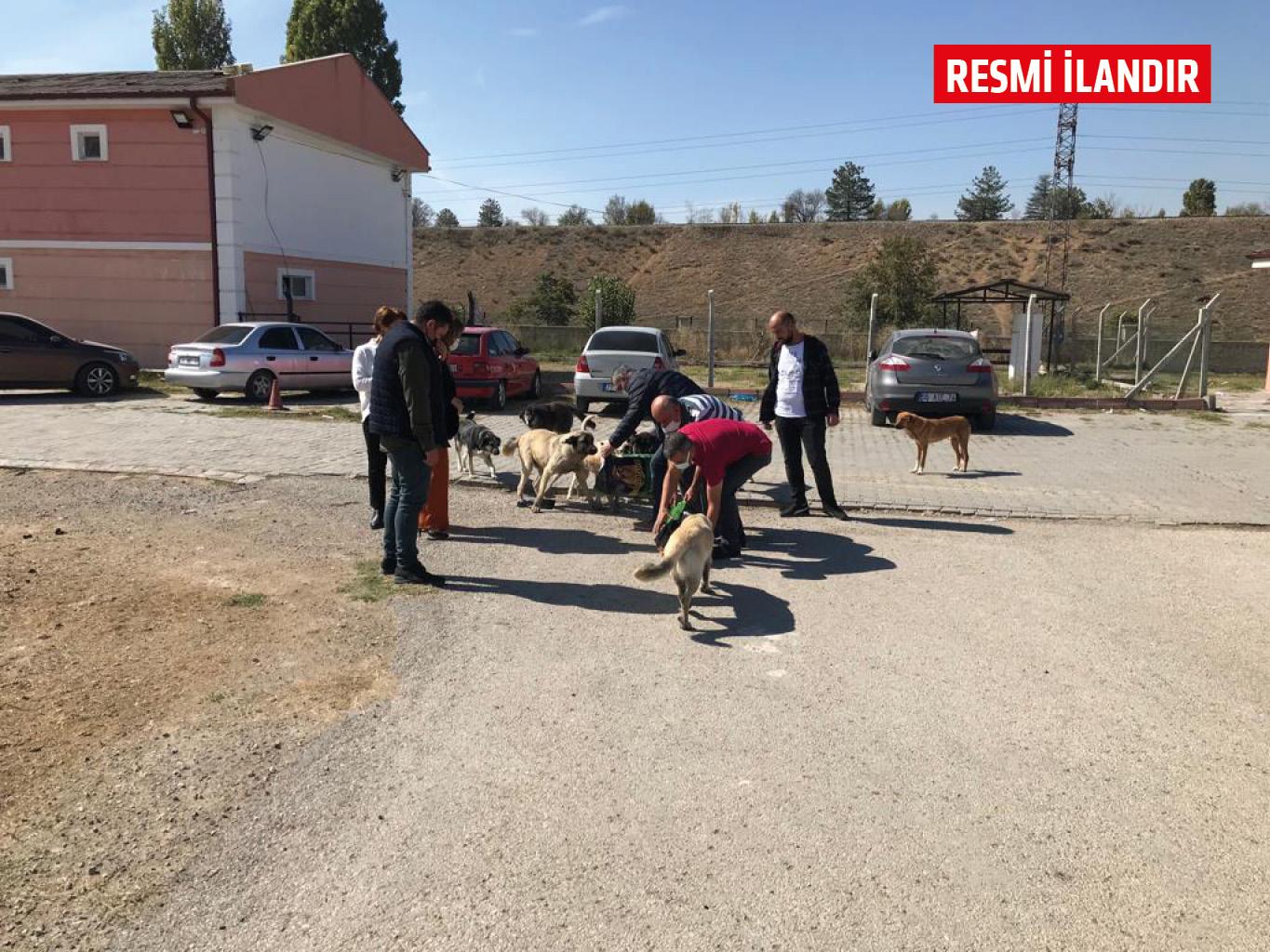 Kırıkkale Haber, Son Dakika Kırıkkale Haberleri