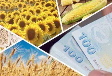 Kırıkkale Haber, Son Dakika Kırıkkale Haberleri