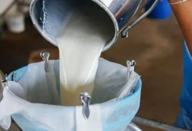 Kırıkkale Haber, Son Dakika Kırıkkale Haberleri