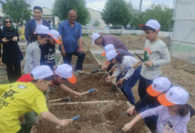 Kırıkkale Haber, Son Dakika Kırıkkale Haberleri