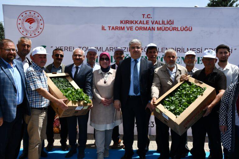 Üretim Döngüsünün Sağlanması İçin Çiftçilere 20 Bin Dide Dağıtıldı