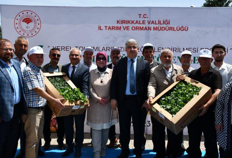 Üretim Döngüsünün Sağlanması İçin Çiftçilere 20 Bin Dide Dağıtıldı