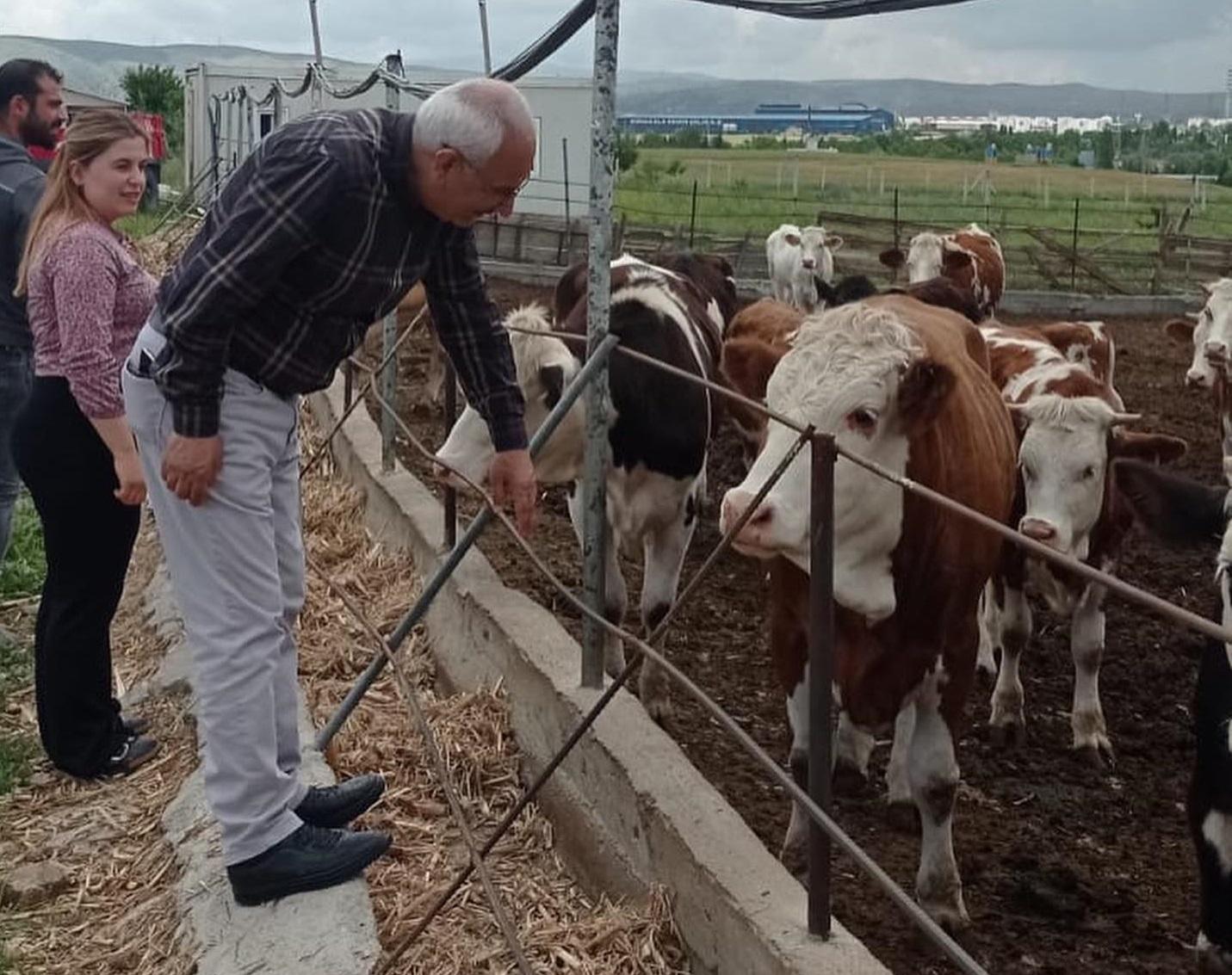 Kırıkkale Haber, Son Dakika Kırıkkale Haberleri