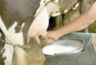 Kırıkkale Haber, Son Dakika Kırıkkale Haberleri