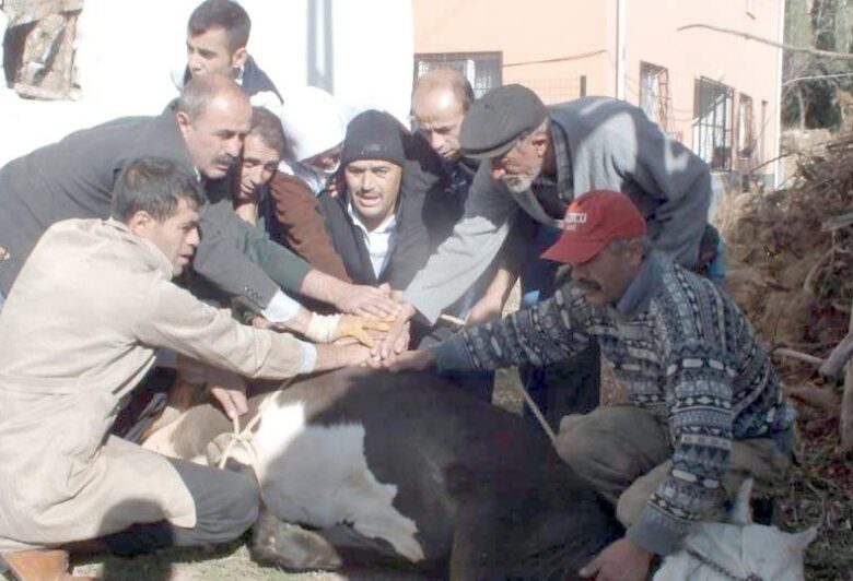 Kırıkkale Haber, Son Dakika Kırıkkale Haberleri Kırıkkale Haber, Son Dakika Kırıkkale Haberleri