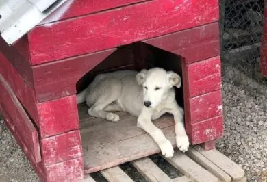 Kırıkkale Haber, Son Dakika Kırıkkale Haberleri