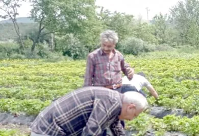 Kırıkkale Haber, Son Dakika Kırıkkale Haberleri