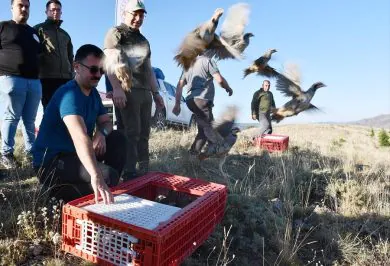 Kırıkkale Haber, Son Dakika Kırıkkale Haberleri
