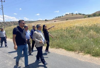 Kırıkkale Haber, Son Dakika Kırıkkale Haberleri