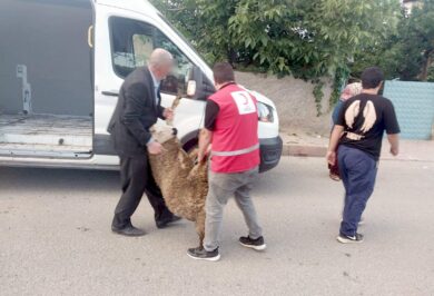 Kırıkkale Haber, Son Dakika Kırıkkale Haberleri