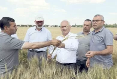 Kırıkkale Haber, Son Dakika Kırıkkale Haberleri