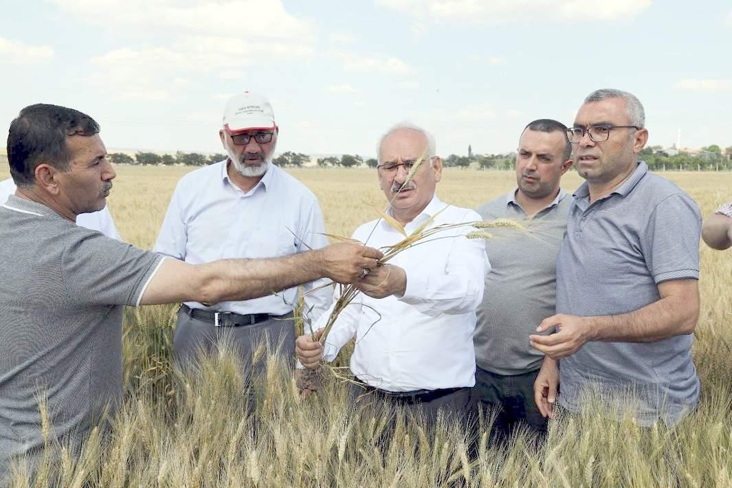 Kırıkkale Haber, Son Dakika Kırıkkale Haberleri