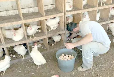 Kırıkkale Haber, Son Dakika Kırıkkale Haberleri