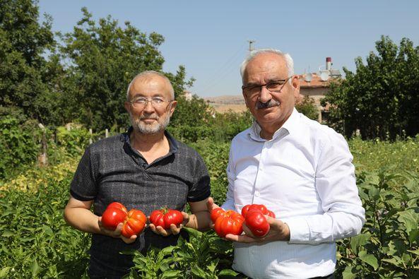 Kırıkkale Haber, Son Dakika Kırıkkale Haberleri