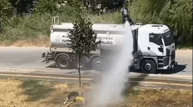 Kırıkkale Haber, Son Dakika Kırıkkale Haberleri Kırıkkale Haber, Son Dakika Kırıkkale Haberleri