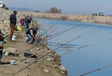 Kırıkkale’de Sazan Bolluğu Yaşanacak