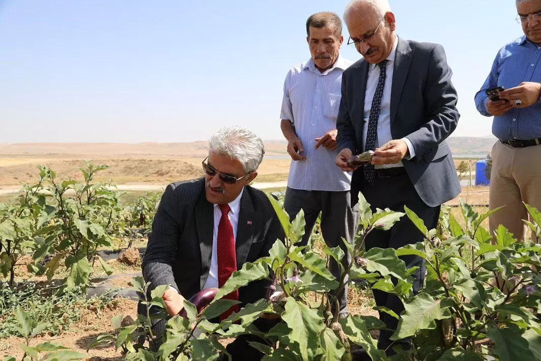 Kırıkkale Haber, Son Dakika Kırıkkale Haberleri Kırıkkale Haber, Son Dakika Kırıkkale Haberleri