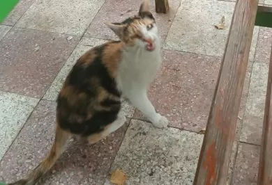 Kırıkkale Haber, Son Dakika Kırıkkale Haberleri