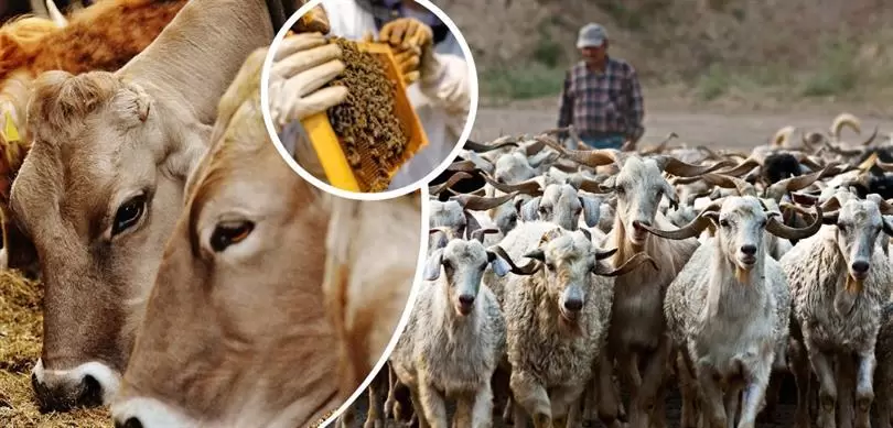Kırıkkale Haber, Son Dakika Kırıkkale Haberleri