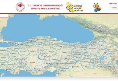 Kırıkkale Haber, Son Dakika Kırıkkale Haberleri