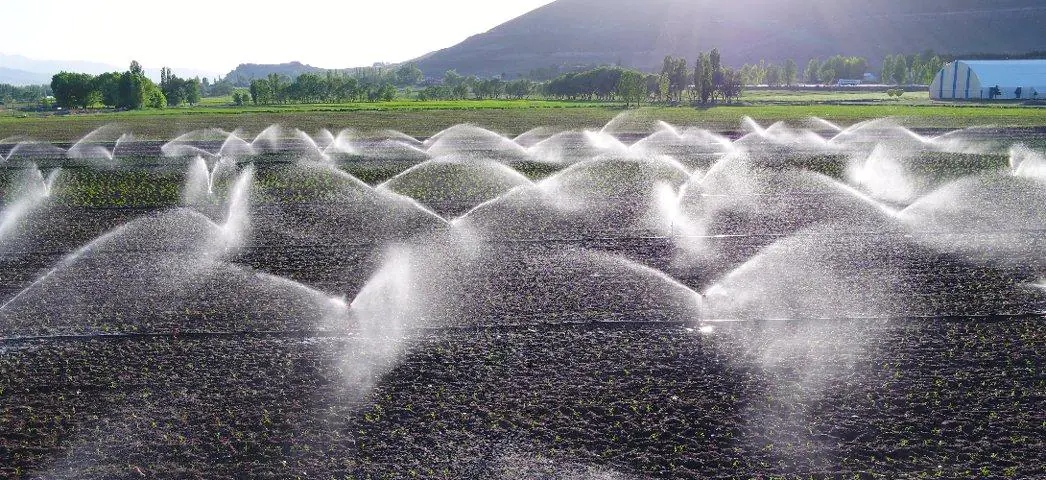 Kırıkkale Haber, Son Dakika Kırıkkale Haberleri