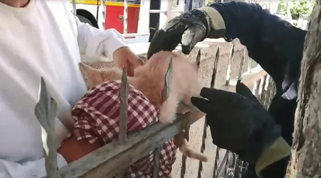 Kırıkkale Haber, Son Dakika Kırıkkale Haberleri Kırıkkale Haber, Son Dakika Kırıkkale Haberleri