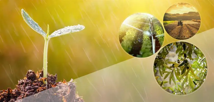 Kırıkkale Haber, Son Dakika Kırıkkale Haberleri Kırıkkale Haber, Son Dakika Kırıkkale Haberleri