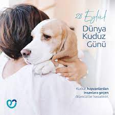 Kırıkkale Haber, Son Dakika Kırıkkale Haberleri