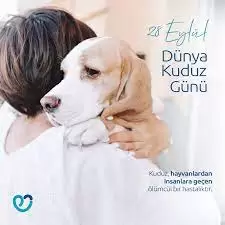 Kırıkkale Haber, Son Dakika Kırıkkale Haberleri Kırıkkale Haber, Son Dakika Kırıkkale Haberleri