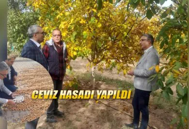 Kırıkkale Haber, Son Dakika Kırıkkale Haberleri