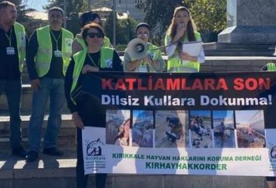 Kırıkkale Haber, Son Dakika Kırıkkale Haberleri