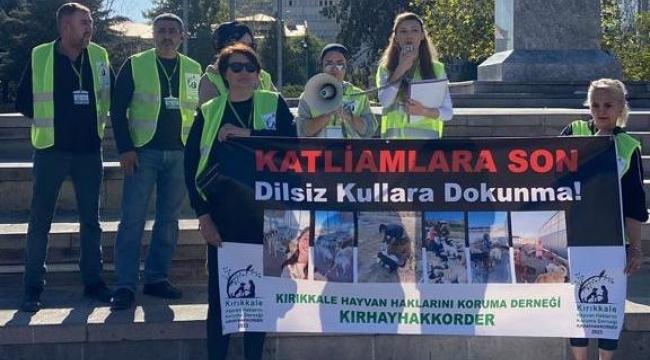 Kırıkkale Haber, Son Dakika Kırıkkale Haberleri