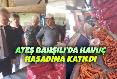 Kırıkkale Haber, Son Dakika Kırıkkale Haberleri