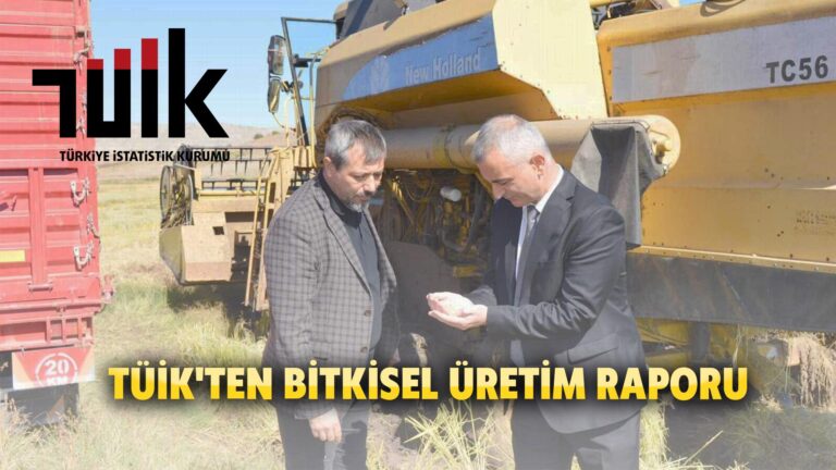 Kırıkkale Haber, Son Dakika Kırıkkale Haberleri