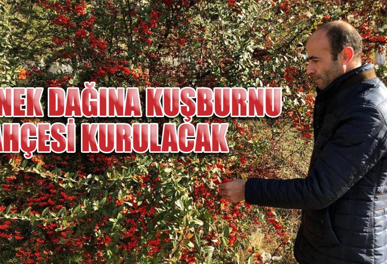 Kırıkkale Haber, Son Dakika Kırıkkale Haberleri