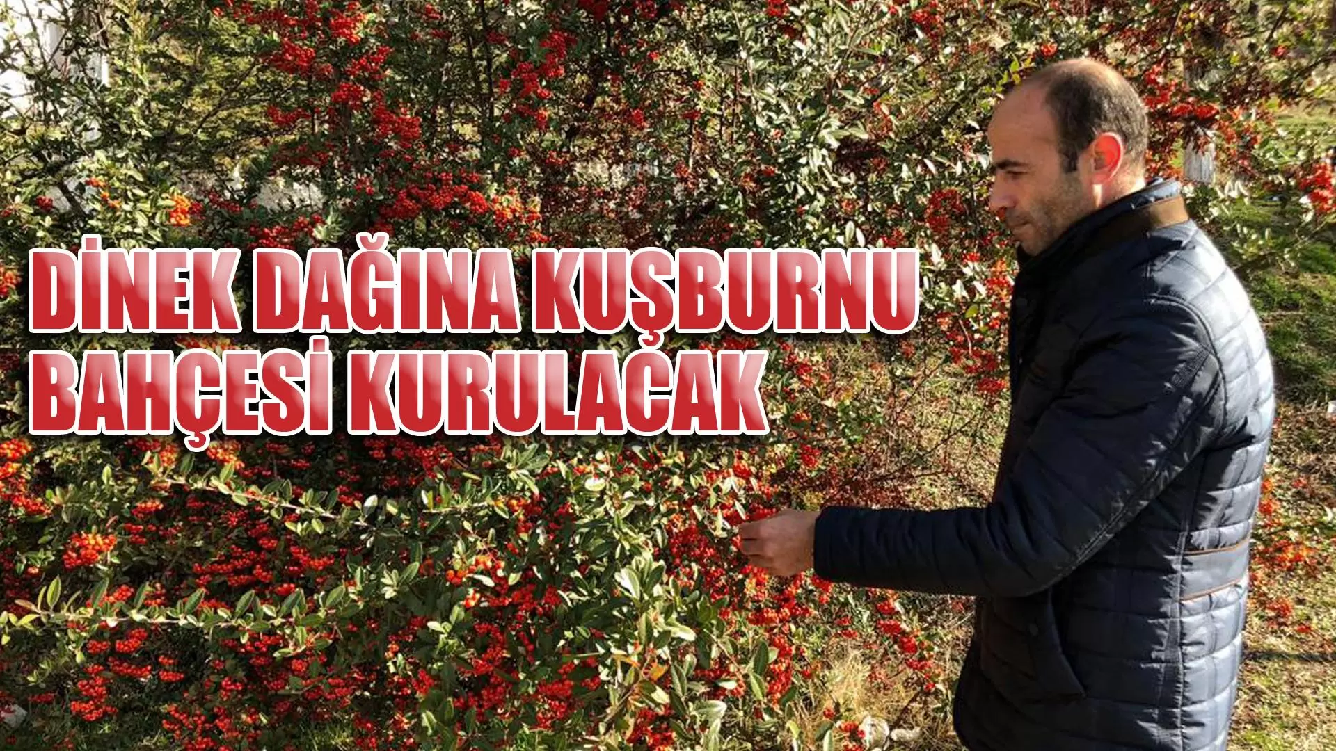 Kırıkkale Haber, Son Dakika Kırıkkale Haberleri Kırıkkale Haber, Son Dakika Kırıkkale Haberleri