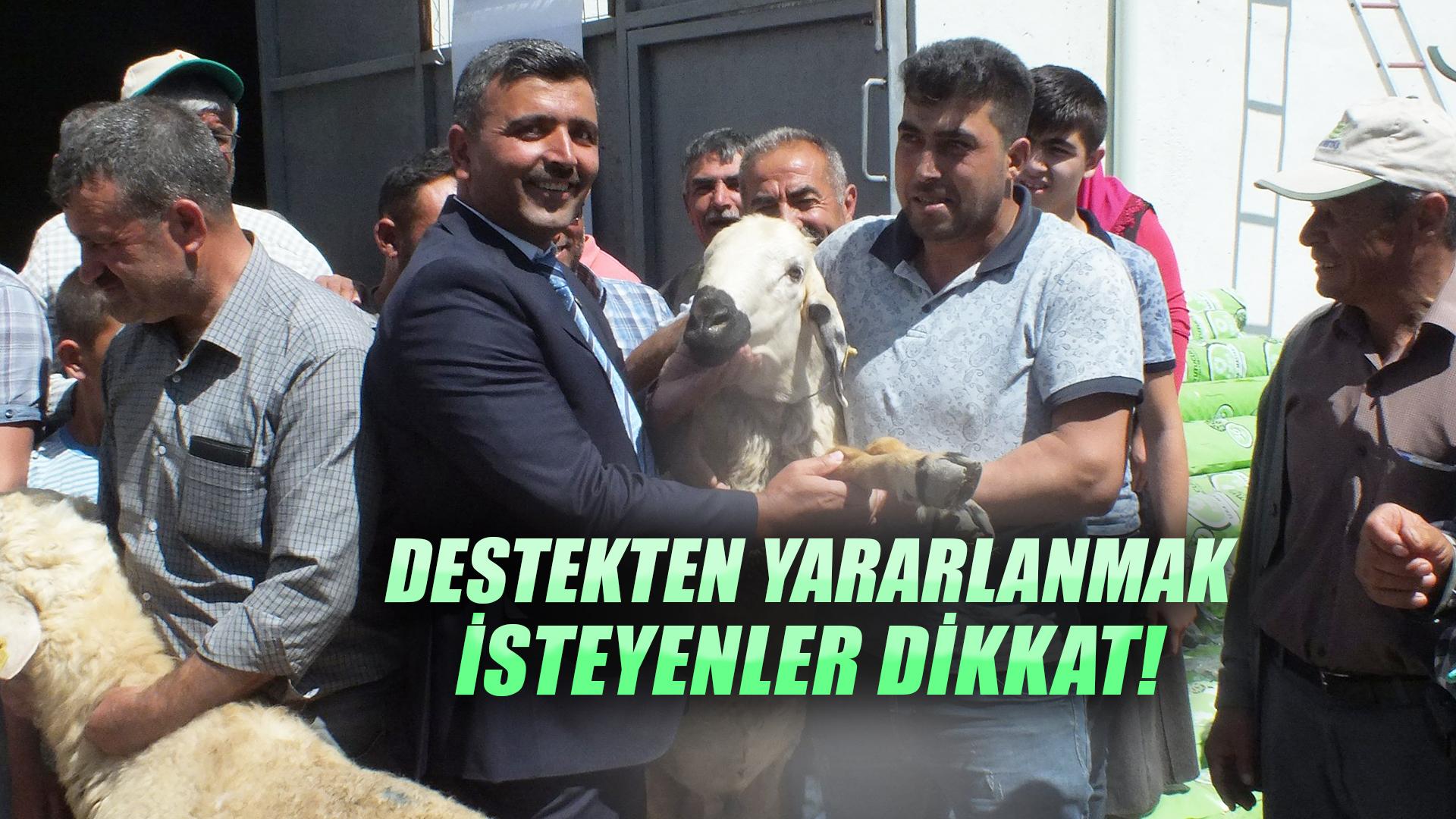 Kırıkkale Haber, Son Dakika Kırıkkale Haberleri