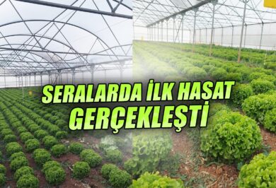 Kırıkkale Haber, Son Dakika Kırıkkale Haberleri