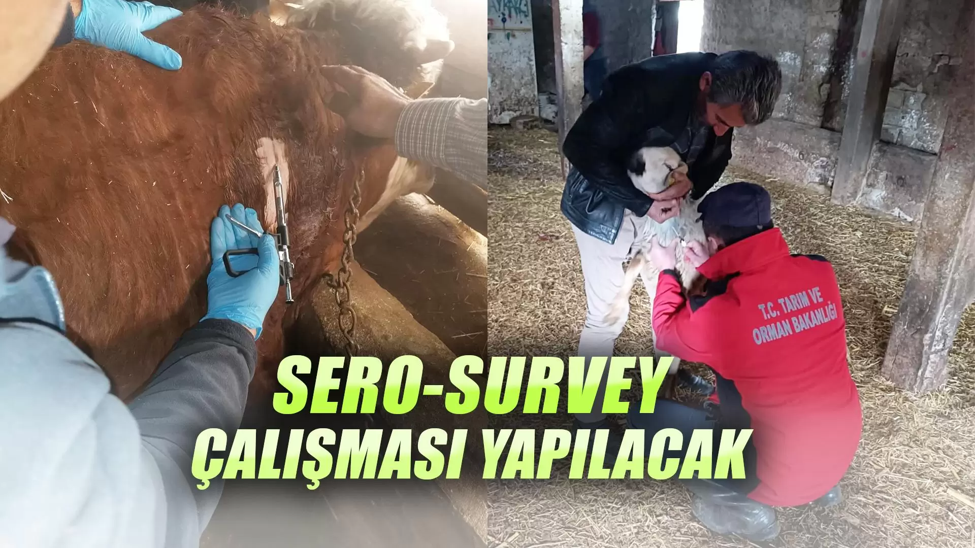 Kırıkkale Haber, Son Dakika Kırıkkale Haberleri Kırıkkale Haber, Son Dakika Kırıkkale Haberleri
