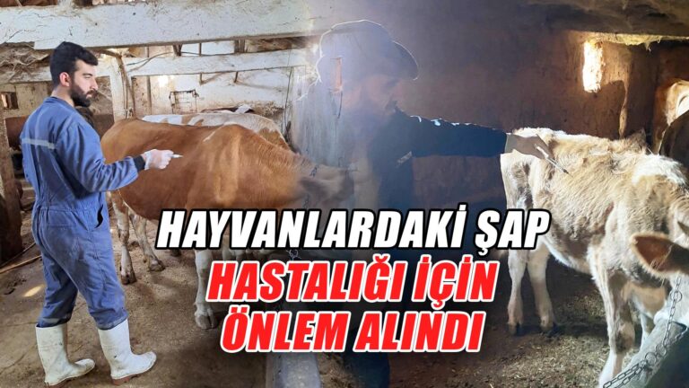 Kırıkkale Haber, Son Dakika Kırıkkale Haberleri