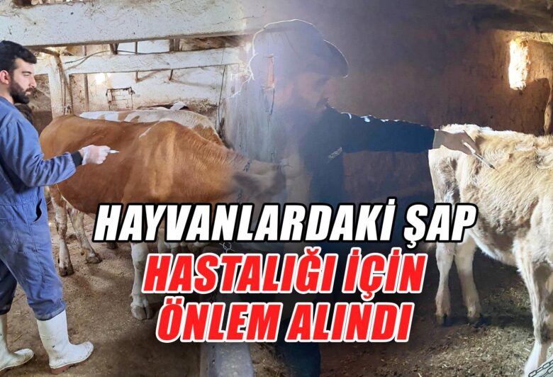 Kırıkkale Haber, Son Dakika Kırıkkale Haberleri