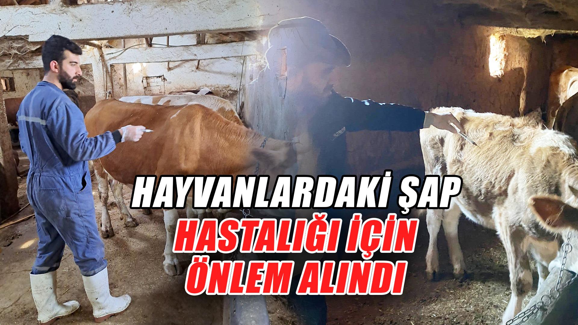 Kırıkkale Haber, Son Dakika Kırıkkale Haberleri