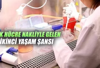 Kırıkkale Haber, Son Dakika Kırıkkale Haberleri Kırıkkale Haber, Son Dakika Kırıkkale Haberleri