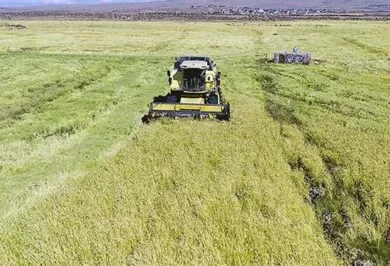 Kırıkkale Haber, Son Dakika Kırıkkale Haberleri