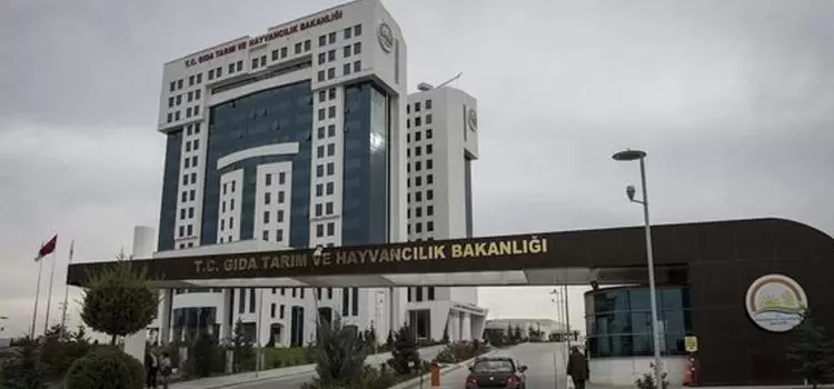 Kırıkkale Haber, Son Dakika Kırıkkale Haberleri Kırıkkale Haber, Son Dakika Kırıkkale Haberleri